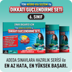 Dikkati Güçlendirme Seti 6. Sınıf 12 Yaş